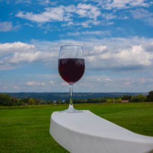 Finger Lakes Wine Trail - Kate Seaman, Ithaca Realtor