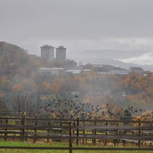 Overlook of Ithaca - Kate Seaman, Ithaca Realtor